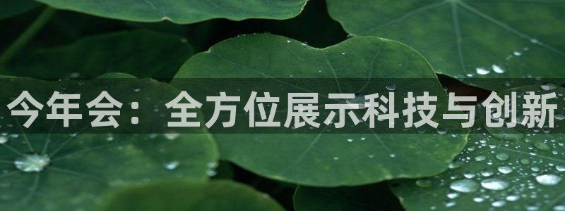 2元彩票体育网页版入口：今年会：全方位展示科技与创新