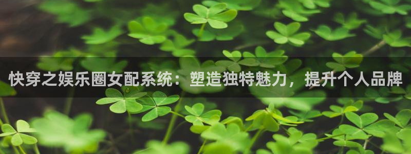 上海2元彩票汽车电子有限公司：快穿之娱乐圈女配系统：塑造独特魅力，提升个人品牌