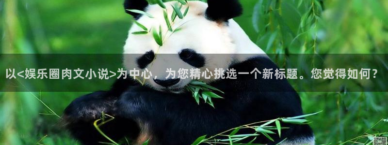 2元网河南二十二选五开奖号码：以<娱乐圈肉文小说>为中心，为您精心挑选一个新标题
