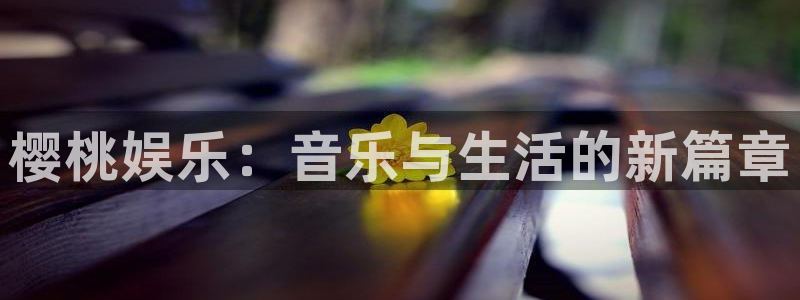 2元彩票体育官网注册：樱桃娱乐：音乐与生活的新篇章