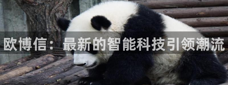 德国2元彩票集团：欧博信：最新的智能科技引领潮流