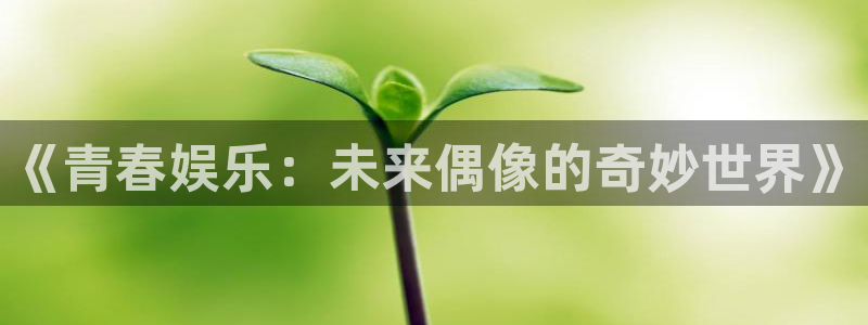 2元彩票现在优惠多少：《青春娱乐：未来偶像的奇妙世界》