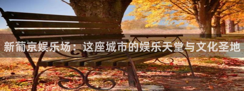 2元彩票凯捷开号链接：新葡京娱乐场：这座城市的娱乐天堂与文化圣地
