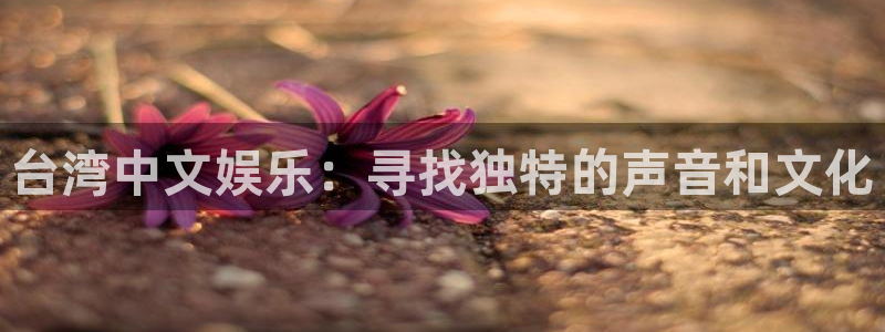 2元彩票能源：台湾中文娱乐：寻找独特的声音和文化