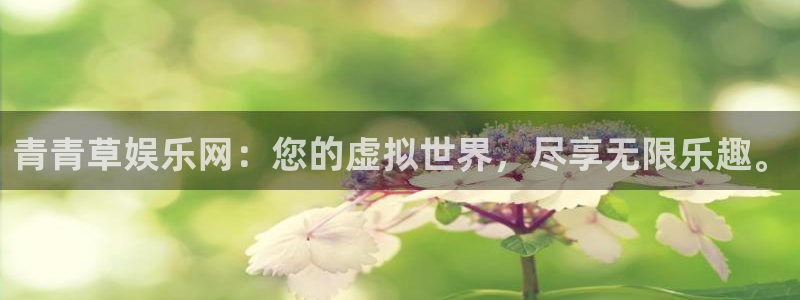 2元彩票2官网：青青草娱乐网：您的虚拟世界，尽享无限乐趣。