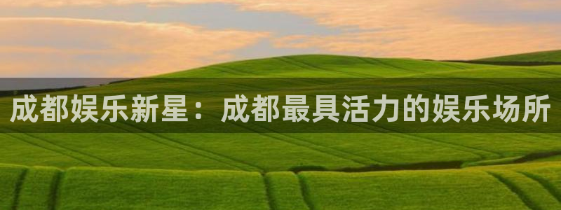 上海2元彩票汽车电子有限公司：成都娱乐新星：成都最具活力的娱乐场所