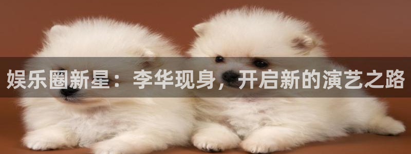 2元彩票2登录：娱乐圈新星：李华现身，开启新的演艺之路