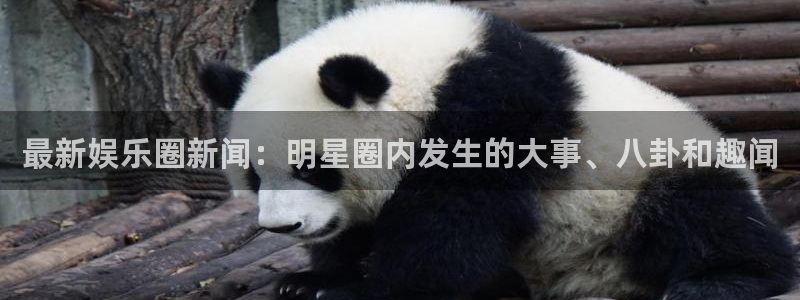 2元彩票官网入口：最新娱乐圈新闻：明星圈内发生的大事、八卦和趣闻