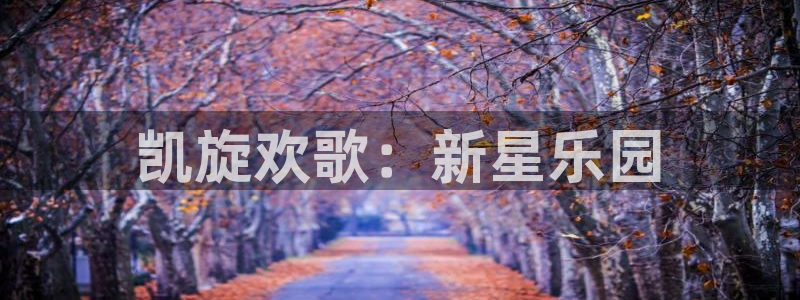 2元彩票体育2：凯旋欢歌：新星乐园