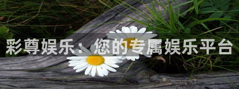 2元彩票凯捷平台：彩尊娱乐：您的专属娱乐平台