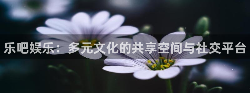 2元彩票体育注册平台：乐吧娱乐：多元文化的共享空间与社交平台