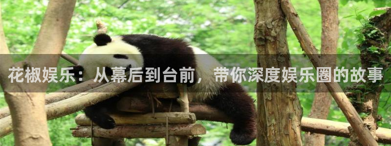 2元彩票能源：花椒娱乐：从幕后到台前，带你深度娱乐圈的故事