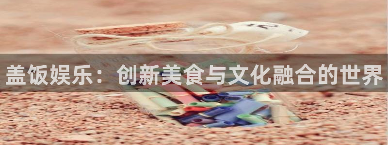 2元彩票体育用品：盖饭娱乐：创新美食与文化融合的世界