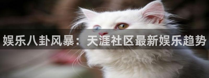 2元网河南二十二选五：娱乐八卦风暴：天涯社区最新娱乐趋势