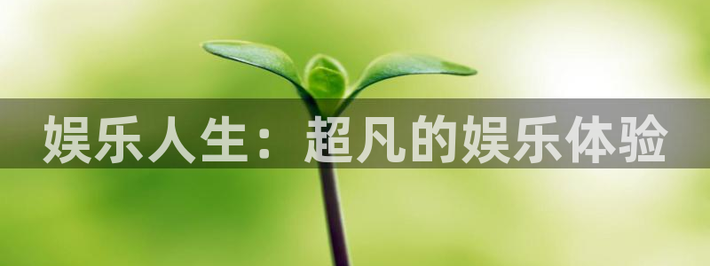 2元网：娱乐人生：超凡的娱乐体验