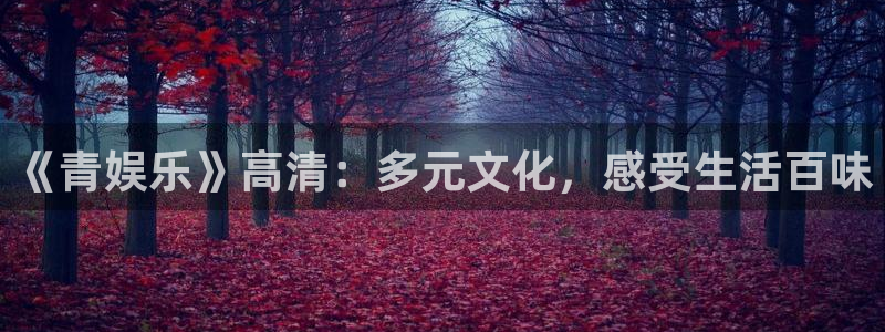 2元彩票体育老板是谁：《青娱乐》高清：多元文化，感受生活百味