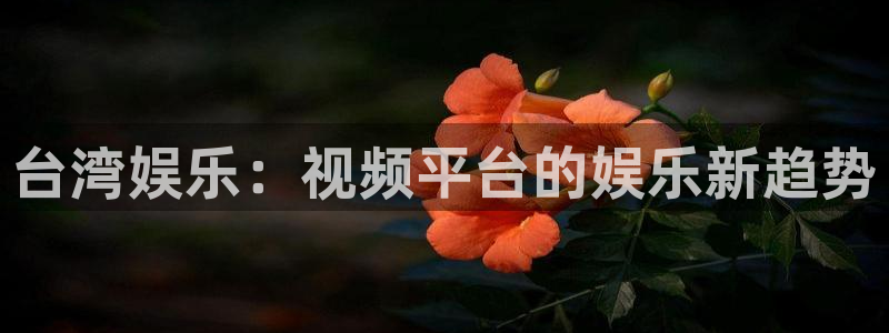 2元彩票体育2：台湾娱乐：视频平台的娱乐新趋势