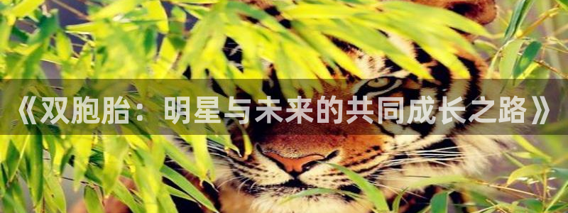 2元彩票体育官网：《双胞胎：明星与未来的共同成长之路》