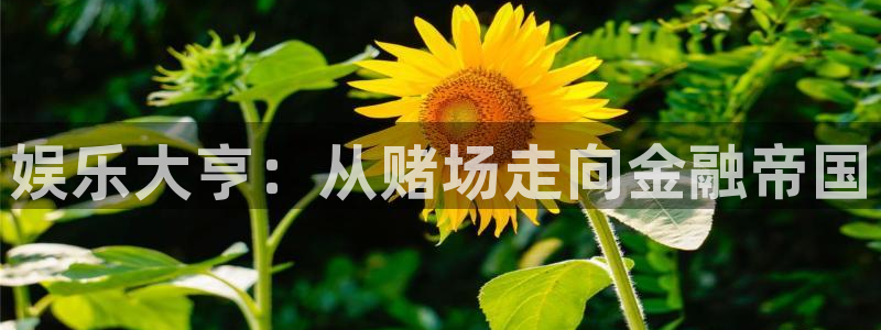 2元彩票体育凯捷平台代理：娱乐大亨：从赌场走向金融帝国