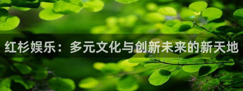 2元网河南二十二选五：红杉娱乐：多元文化与创新未来的新天地