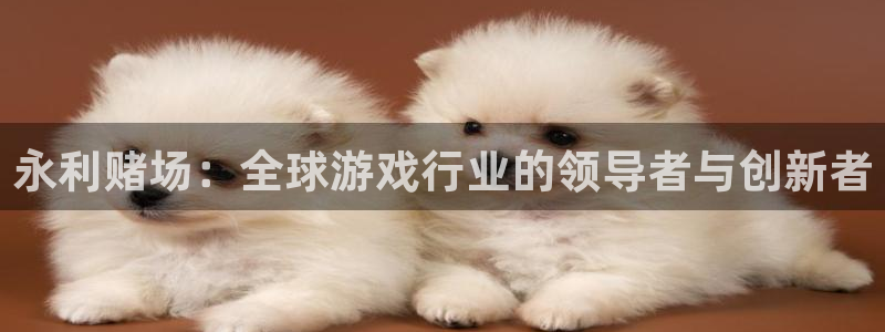 2元彩票体育4：永利赌场：全球游戏行业的领导者与创新者