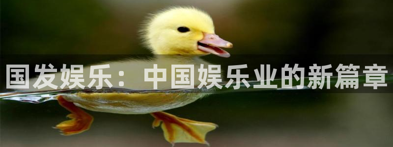 2元彩票4平台注册：国发娱乐：中国娱乐业的新篇章